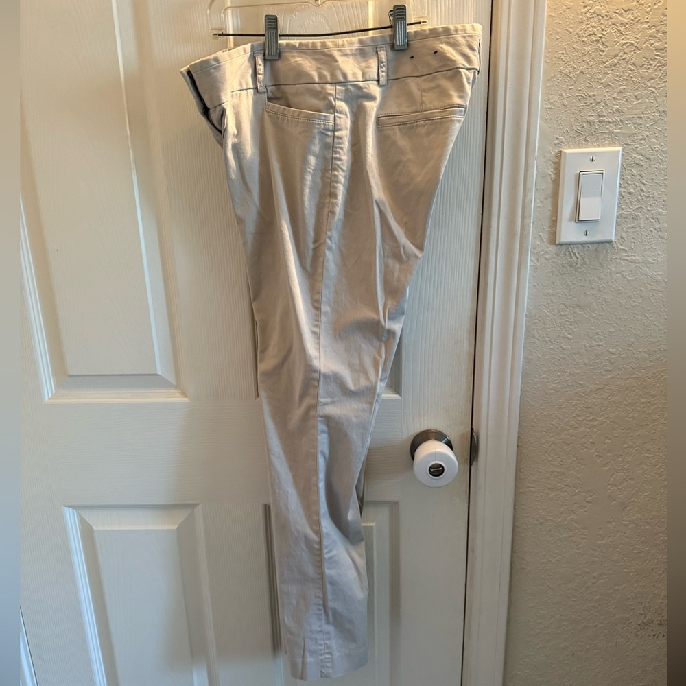 Express dress pants